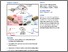 [thumbnail of Katsouri_1-s2.0-S2211124717317564-main.pdf]
