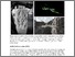 [thumbnail of Pawar_Toward_autonomous_architecture.pdf]