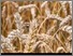 [thumbnail of Lianos_cles-2-2016.pdf]