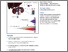 [thumbnail of Turajlic_TrackingCancer.pdf]