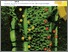[thumbnail of C7SE00519A.pdf]