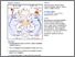 [thumbnail of Ng 1-s2.0-S2211124718309938-main.pdf]