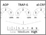 [thumbnail of Figure 1]