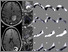 [thumbnail of Figure 1]