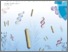 [thumbnail of Nguyen VoR c8cc05465g.pdf]