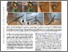 [thumbnail of 1806.05385v1.pdf]