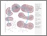 [thumbnail of 1-s2.0-S2589004218301305-main.pdf]