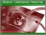 [thumbnail of 116896-WP-PUBLIC-27-6-2017-11-32-4-BelarusTBreportfinalJun.pdf]