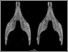 [thumbnail of Fig. 23. Geocapromys stereopair jaw.jpg]