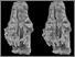 [thumbnail of Fig. 3 C UF 23295.tif]