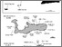 [thumbnail of Fig. 1 map.tif]