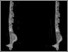 [thumbnail of Fig. 8B AMNH 55005..jpg]