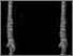 [thumbnail of Fig. 8D AMNH 95708 stereo pair.jpg]