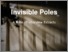 [thumbnail of Invisible Poles Book of Extracts.pdf with cover.pdf]