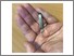 [thumbnail of Figure 3.jpg]