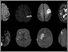 [thumbnail of Figure1_new.jpg]
