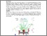 [thumbnail of 2018_WCB_Abstract_Xizhuo_FINAL.pdf]