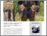 [thumbnail of Baldoni_c9sc00167k.pdf]