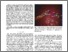 [thumbnail of RA_L_Colleoni_2019.pdf]