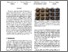 [thumbnail of Ritschel_Deep Appearance Maps_AAM.pdf]