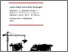 [thumbnail of Middlebrook_Labour Rights versus State Sovereignty_GGI Working  Paper_Final.pdf]