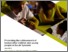 [thumbnail of Carroll_palac-south-tyneside-case-study-2017-18.pdf]