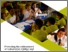 [thumbnail of Carroll_palac_nottingham_case_study_2016-17.pdf]