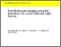 [thumbnail of Rau_2019_Fast_Multi-scale_imaging_using_the_Beamline_I13L_at_the_Diamond_Light_Source.pdf]