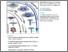 [thumbnail of 1-s2.0-S0092867420309296-main.pdf]