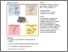 [thumbnail of A Wars2 Mutant Mouse Model Displays OXPHOS Deficiencies and Activation of Tissue-Specific Stress Response Pathways.pdf]