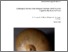 [thumbnail of ecrc_report_95_Sayer_Blakeney_2004.pdf]