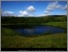 [thumbnail of ecrc_report_168_Goldsmith_2015_NIEA_Lakes.pdf]