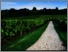 [thumbnail of ecrc_report_177_Georgeson & Maslin_2017_viticulture.pdf]