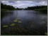 [thumbnail of ecrc_report_184_Goldsmith etal_2018_BurtonMillPond.pdf]