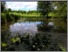 [thumbnail of ecrc_report_186_Goodrich et al._2017_Gaudet Luce.pdf]