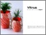 [thumbnail of MJG - Vitrus.pdf]