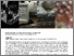 [thumbnail of Seamless.pdf]