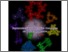 [thumbnail of cplu.202100004.pdf]