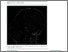 [thumbnail of e541.full.pdf]