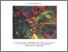 [thumbnail of Radivojevic_2007_MScThesis_Belovode.pdf]
