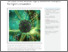 [thumbnail of 1-s2.0-S2666386421002824-main.pdf]