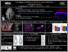 [thumbnail of 75_Maniou.pdf]
