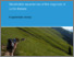 [thumbnail of Brunton_(2017)_Lyme disease stakeholder experiences.pdf]