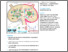 [thumbnail of 1-s2.0-S2211124721013486-main.pdf]
