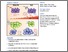[thumbnail of A Regulatory Feedback between Plasmacytoid Dendritic Cells and Regulatory B Cells Is Aberrant in Systemic Lupus Erythematosus.pdf]