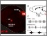 [thumbnail of Supplementary figure]