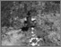 [thumbnail of Figure 8.png]