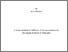 [thumbnail of PhD Thesis - Ivana Slamova - 2016.pdf]