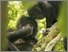 [thumbnail of SommerFigs.pdf]