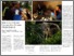 [thumbnail of Abramson article Anthropolitan-14-low.pdf]